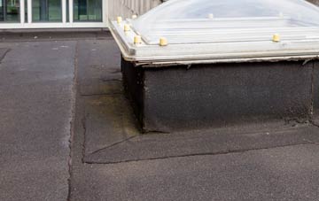 disadvantages of Lower Chute flat roofs