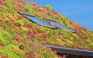 Lower Chute living roof systems