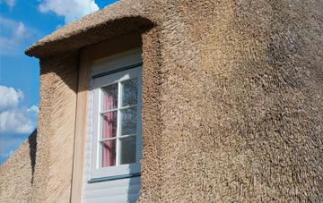 Lower Chute thatch roof disadvantages